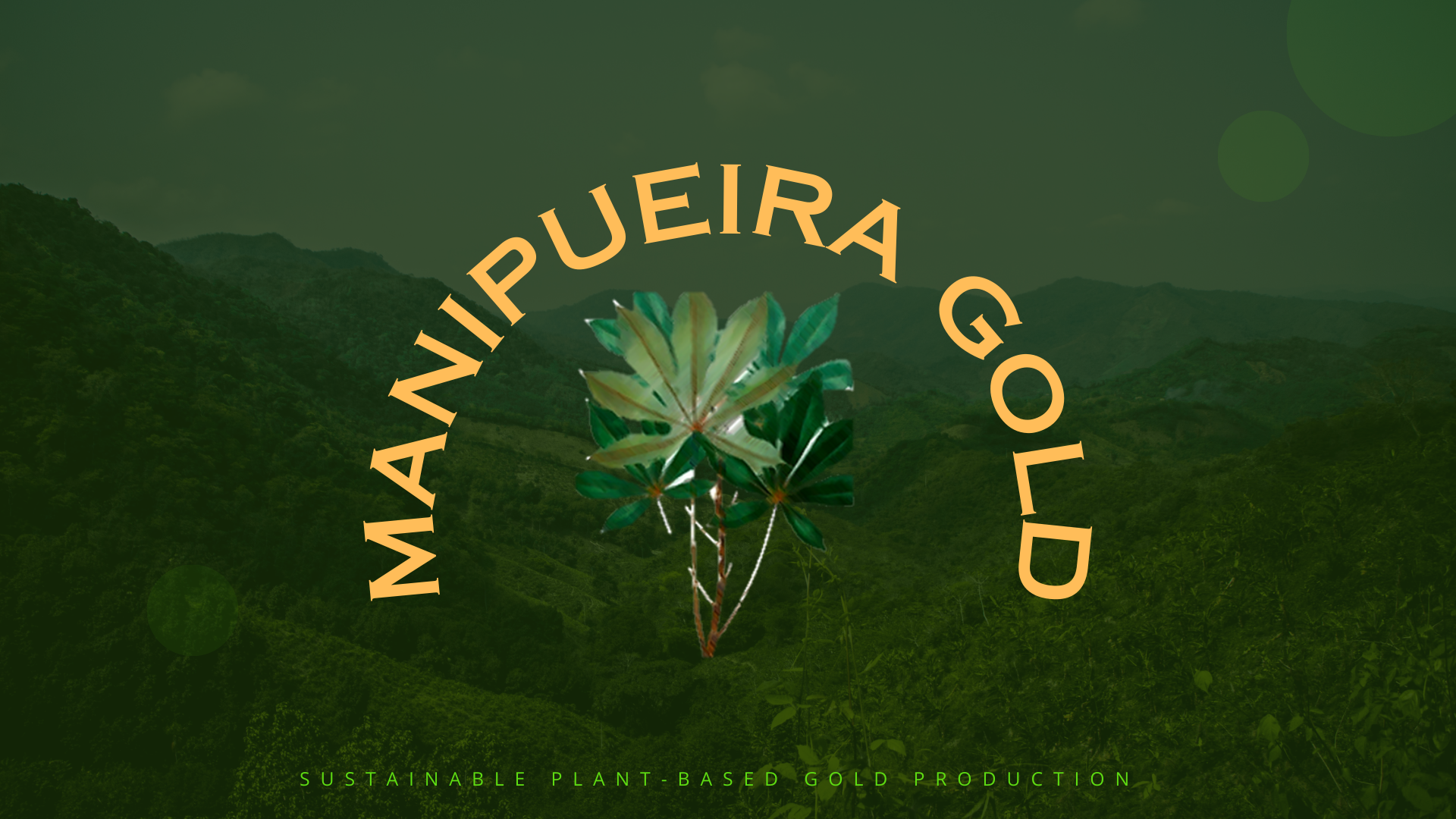 Manipueira Gold